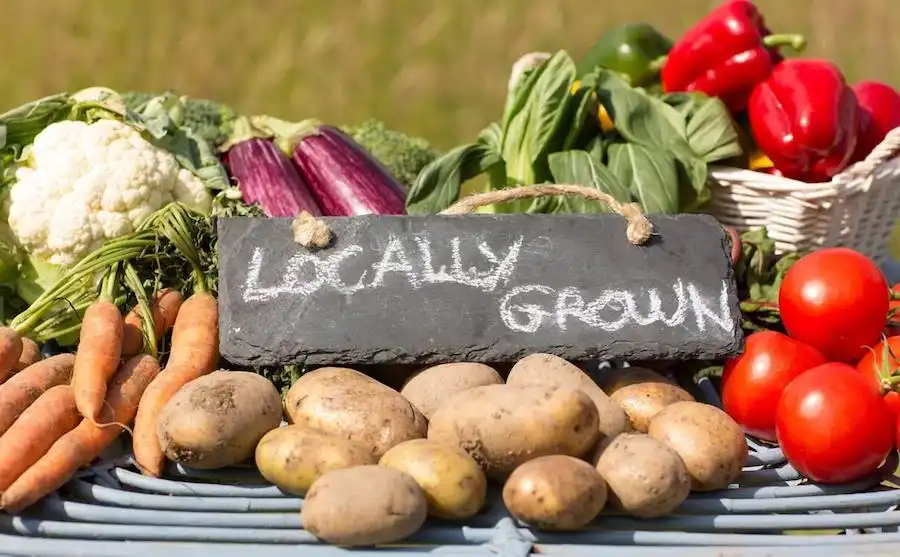 local grocery stores