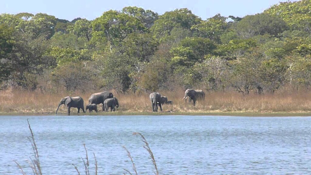 kasungu national park