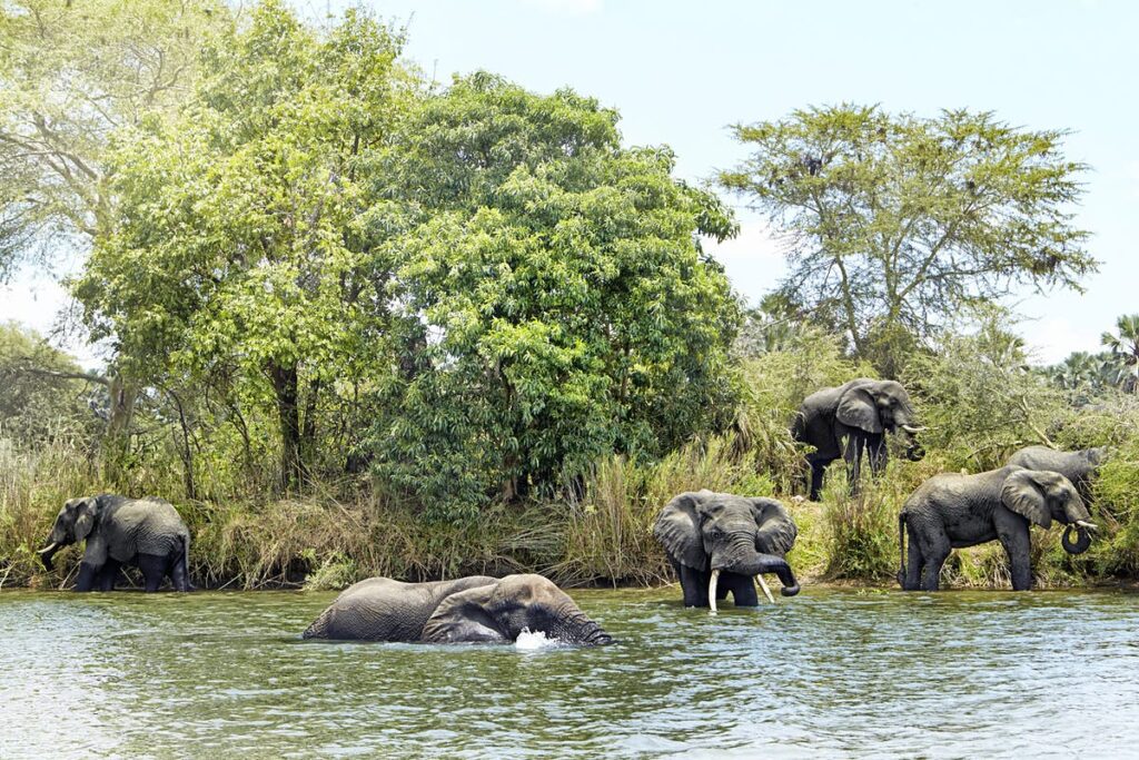 liwonde national park