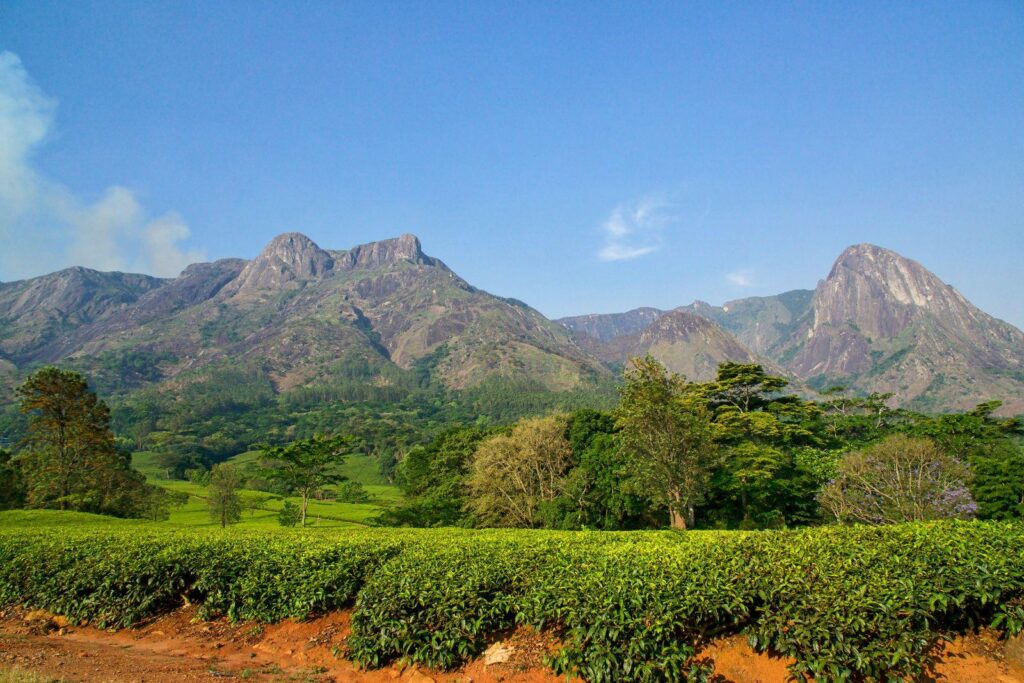 mount mulanje