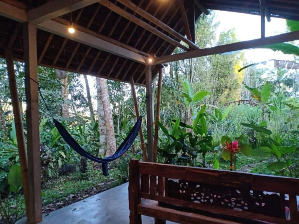 bali5