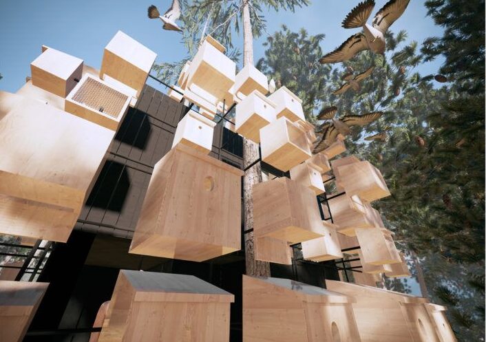 tree hotel 3