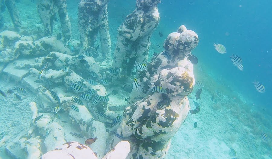 fish around gillo mino