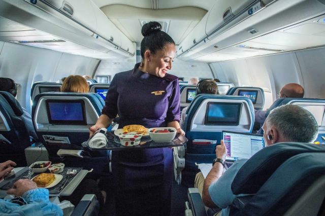flight attendant