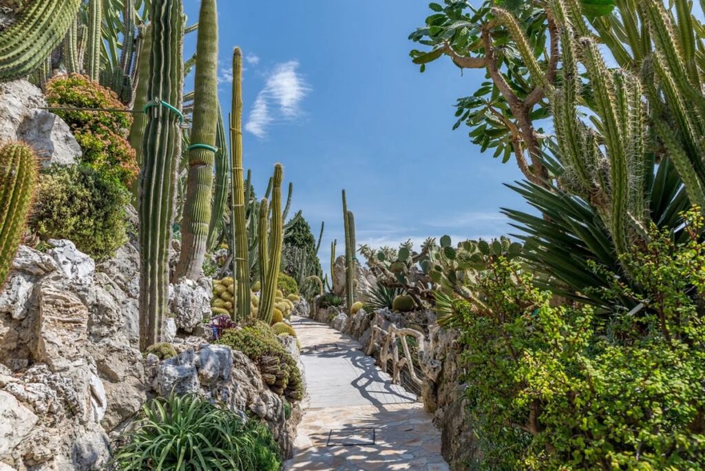 exotic garden of monaco