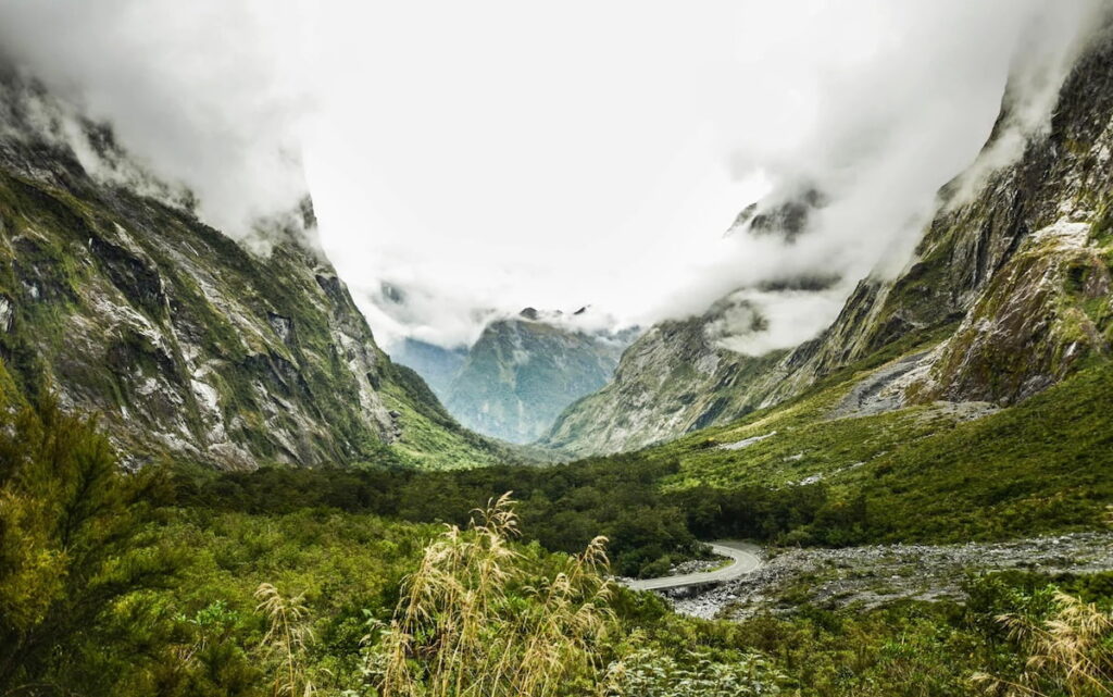 fangorn forest