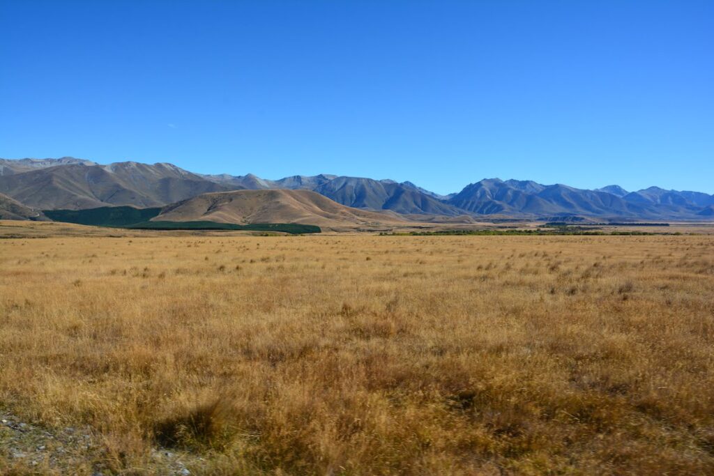 pelennor fields