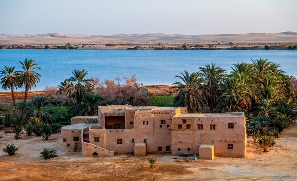 siwa oasis