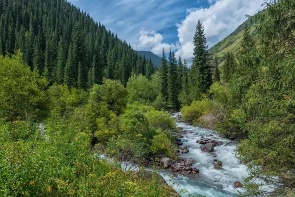turgen gorge