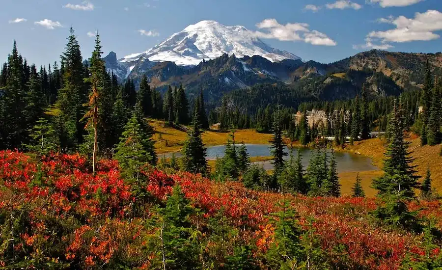 mount rainier
