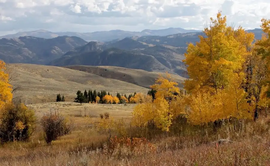 yellowstone autumn