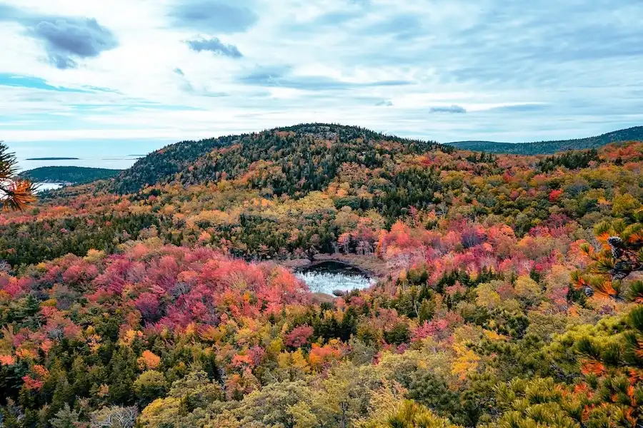 acadia autumn
