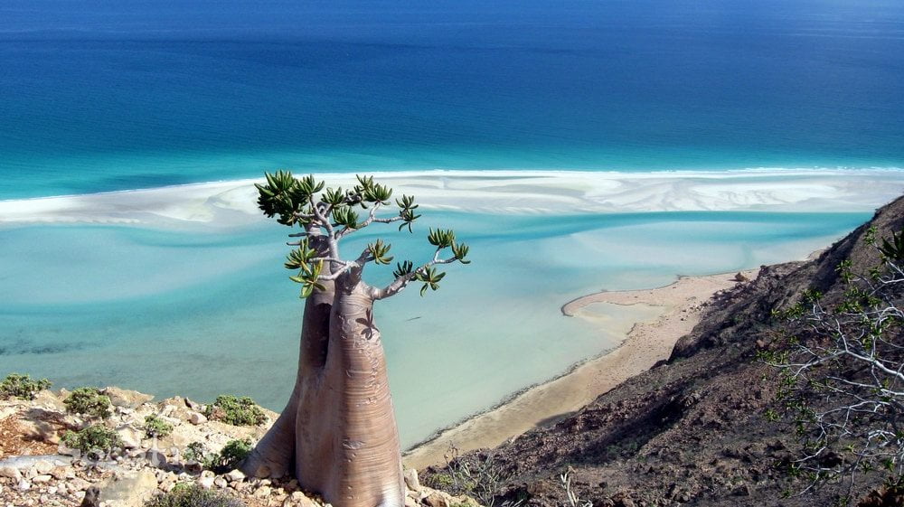 socotra1