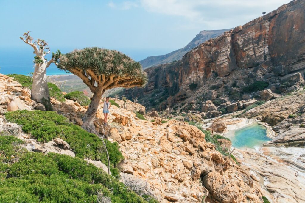socotra4