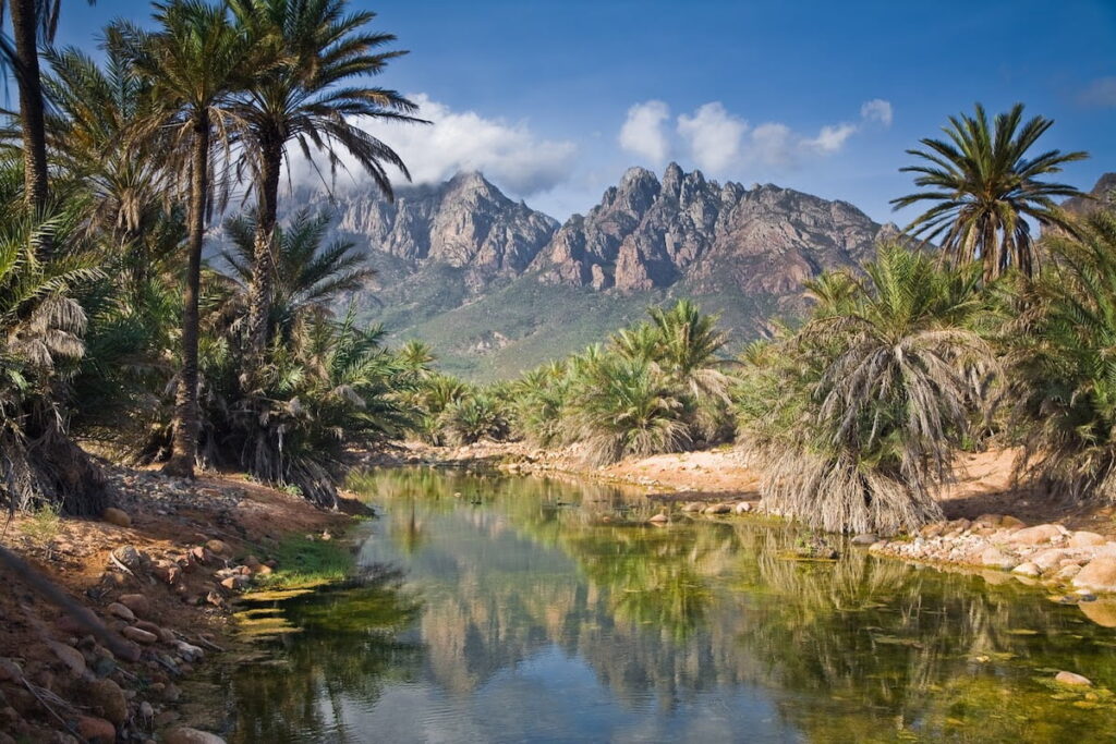 socotra9