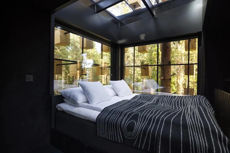 bed biosphere tree