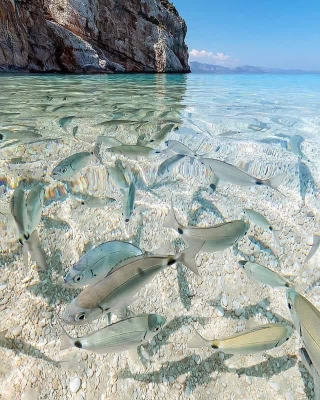 sardinia2