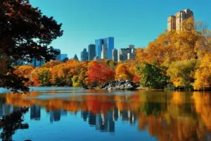 fall foliage central park