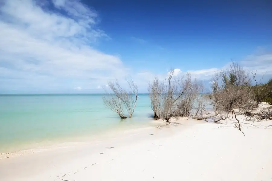 cayo jutias