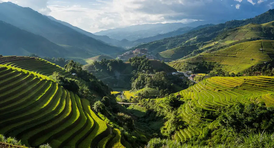 vietnam rice terraces1