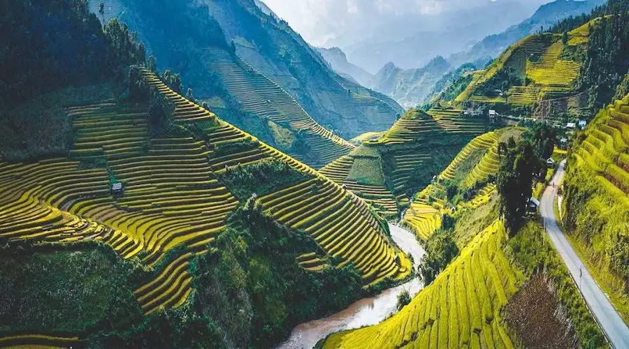 vietnam rice terraces2