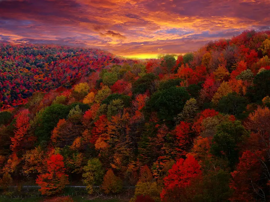 maine autumn2