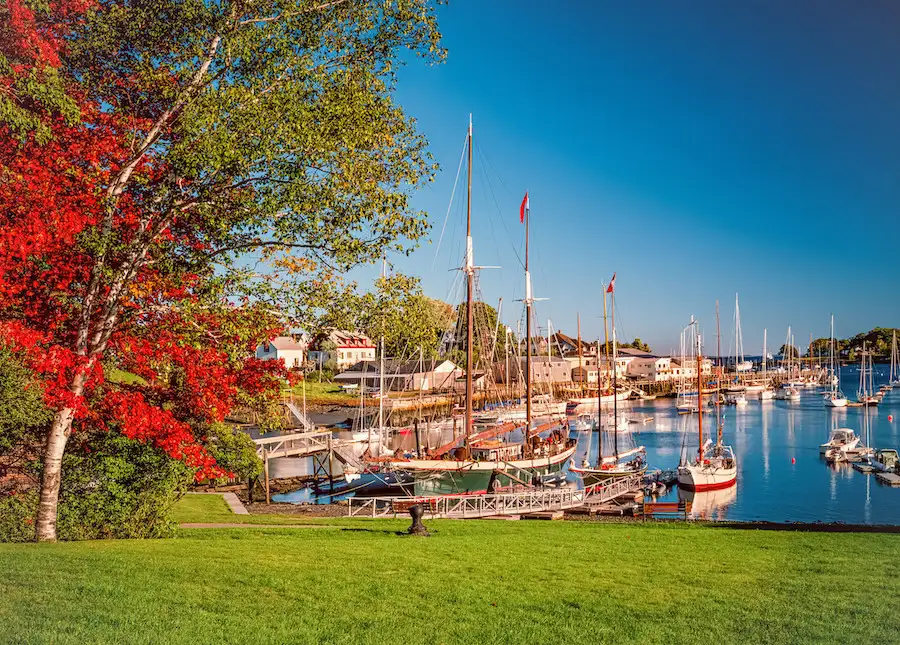 maine autumn3