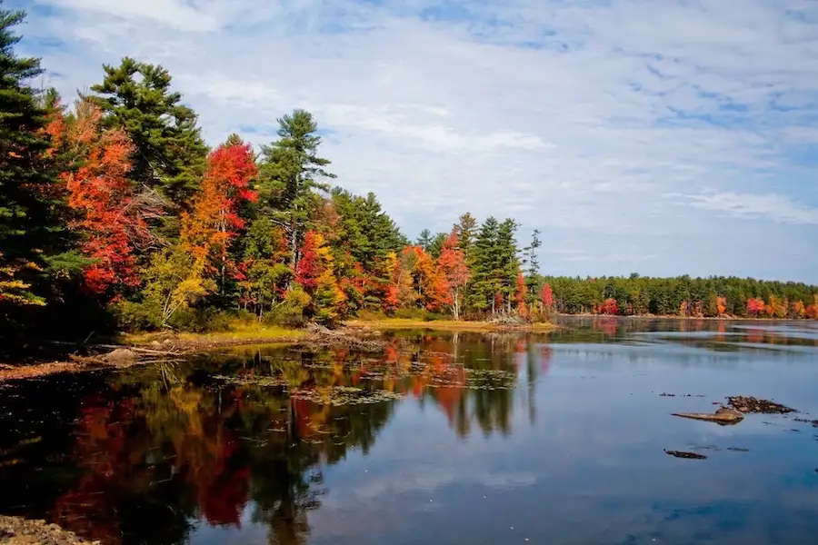 maine autumn5
