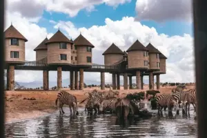 the wildlife spectacle