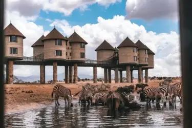 the wildlife spectacle