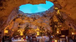 ali barbour restaurant