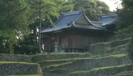 7cbaa3bd akasaki
