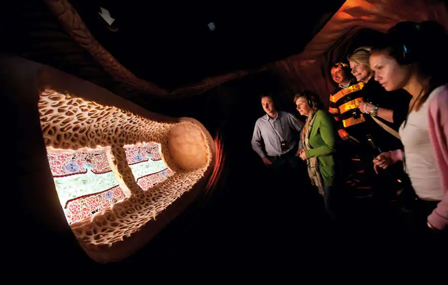 corpus museum3