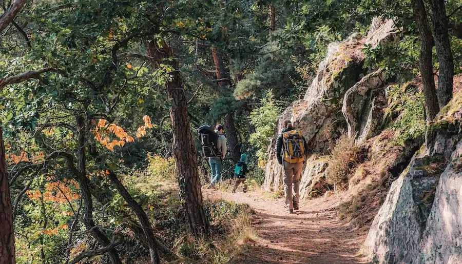 alsace hiking