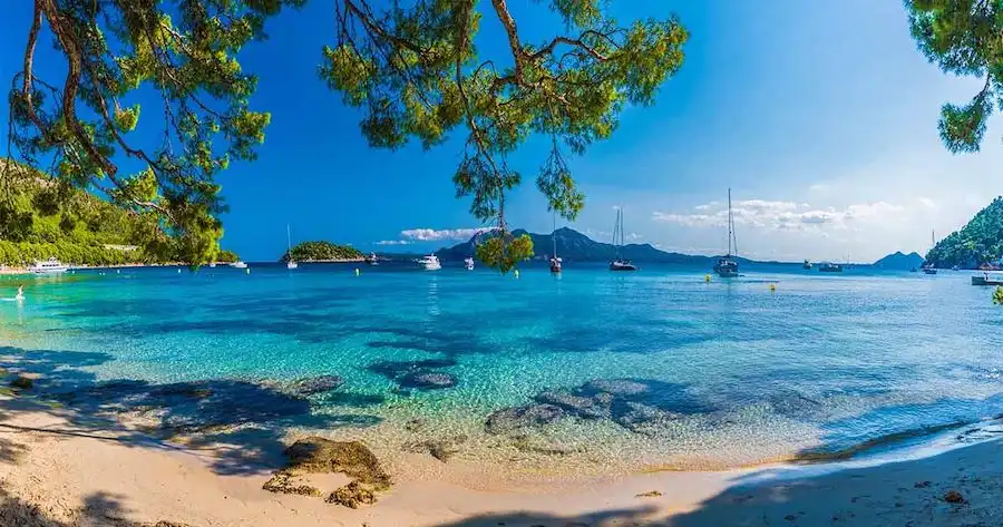 palma de mallorca cover
