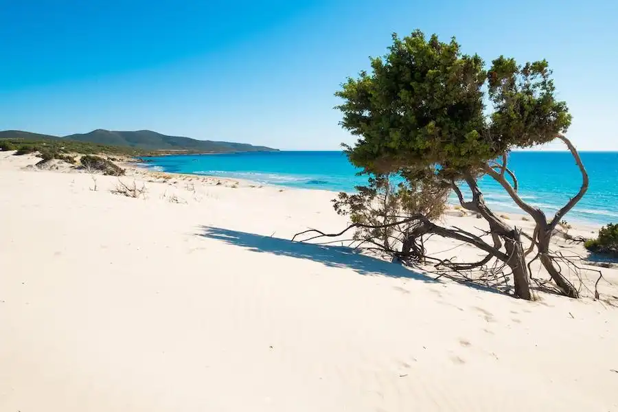 sardinia beaches