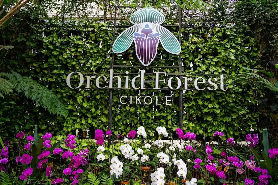 orchid forest cikole4