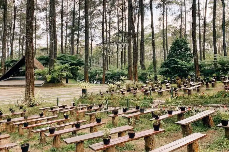 orchidforestcikole3