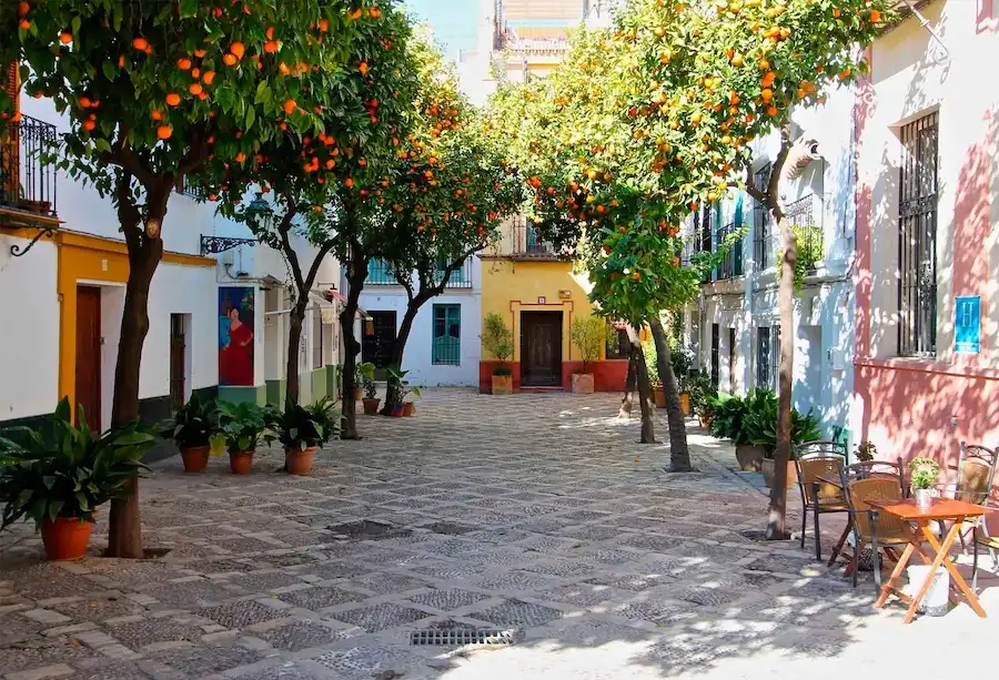 barrio santa cruz(1)