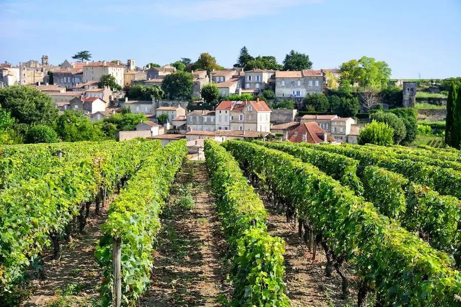 bordeaux vineyards