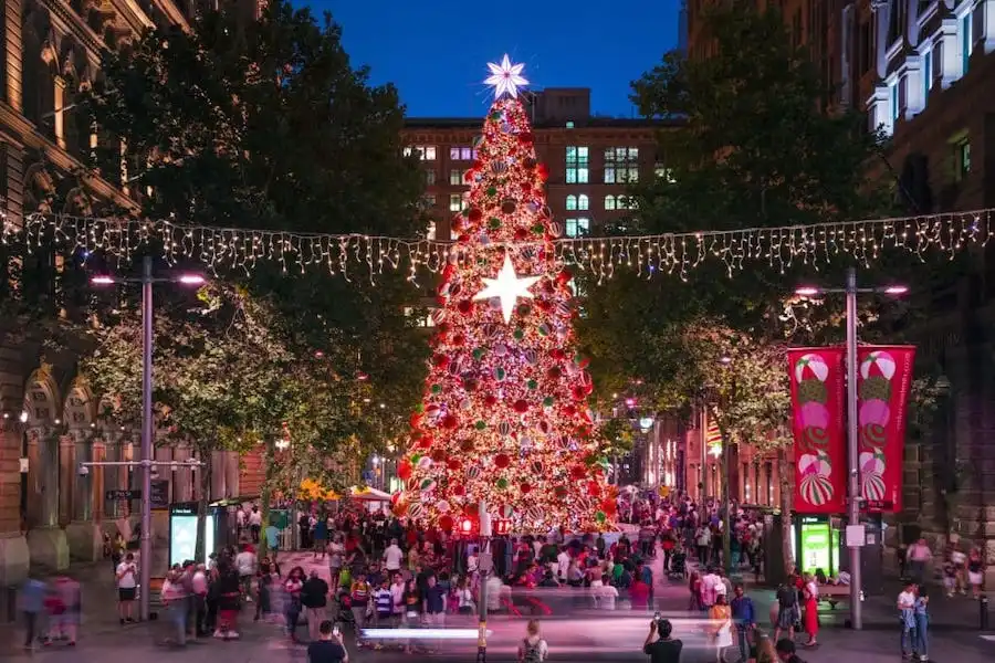 sydney christmas tree