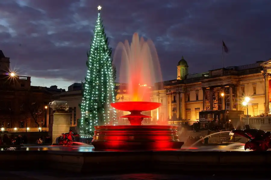 trafalgar square christmas tree
