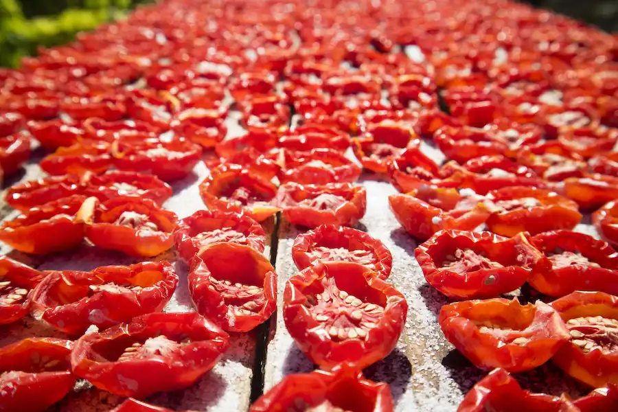 la tomatina spain