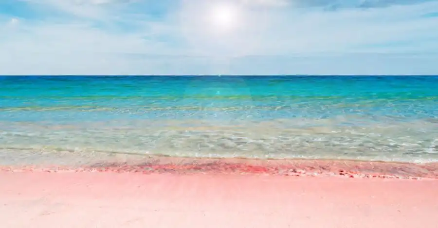 pink sands beach bahamas