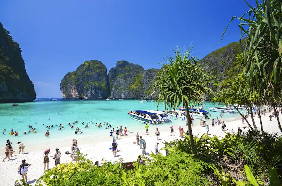 phiphi