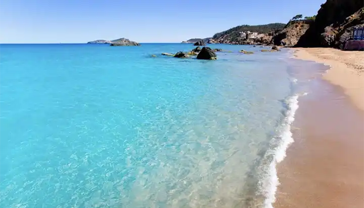 share wild beach