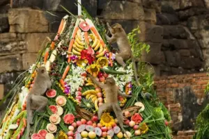 monkey festival