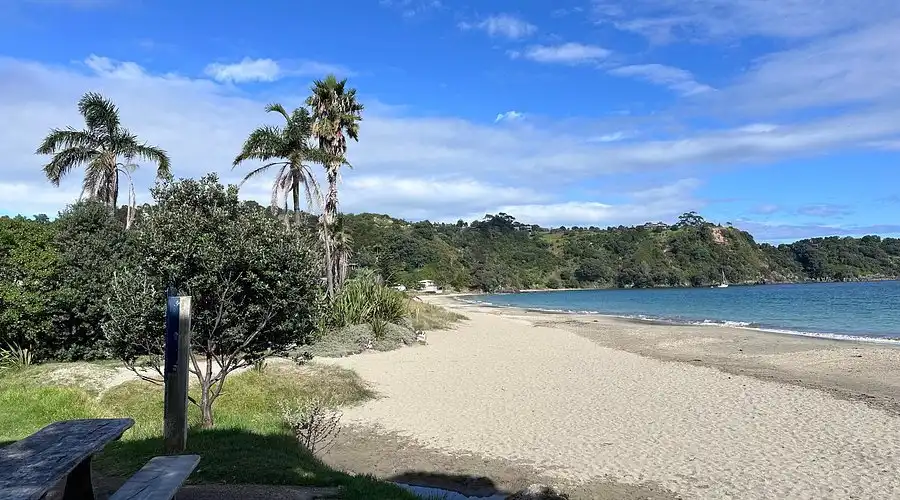 little palm beach–waiheke island new zealand