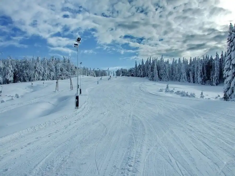 cavnic ski